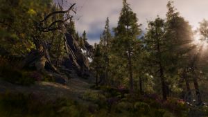 3D open world project.jpg